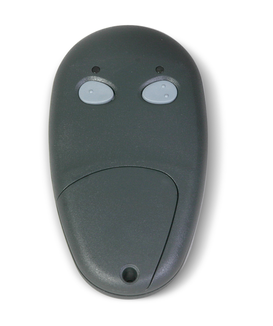 LCR 2-Button Transmitter